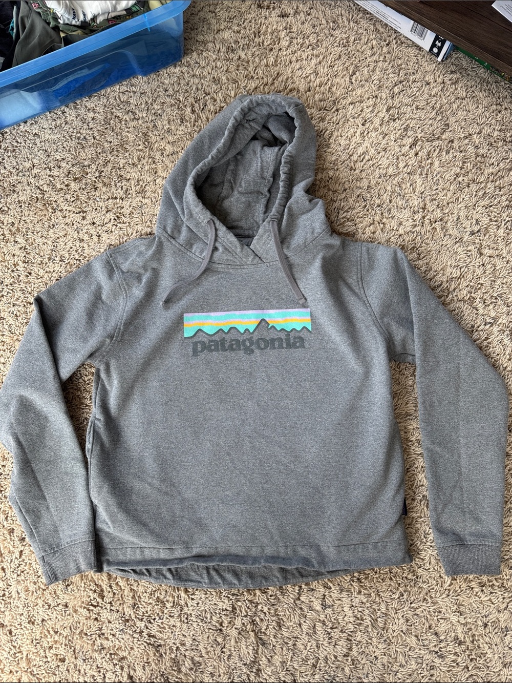 Patagonia Heather Gray Hoodie with Multicolor Stripe Logo